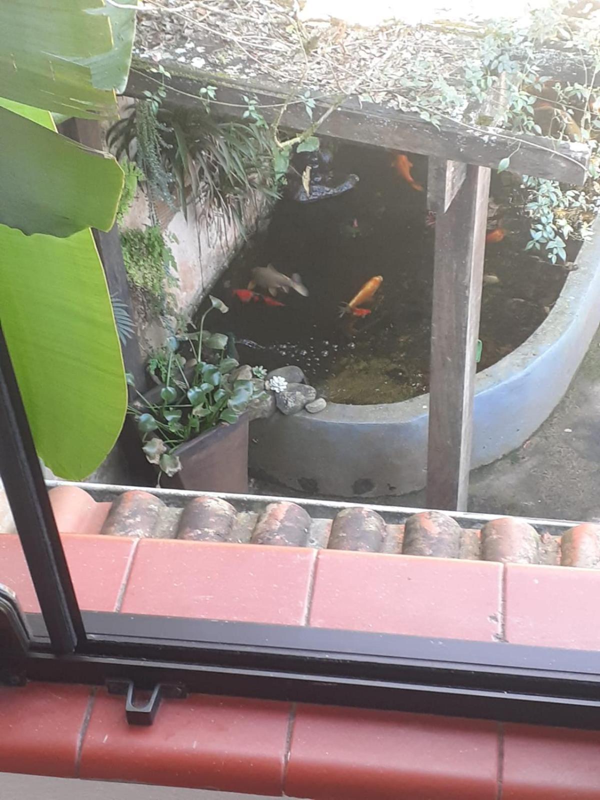 Otima Proxima Ao Centro *